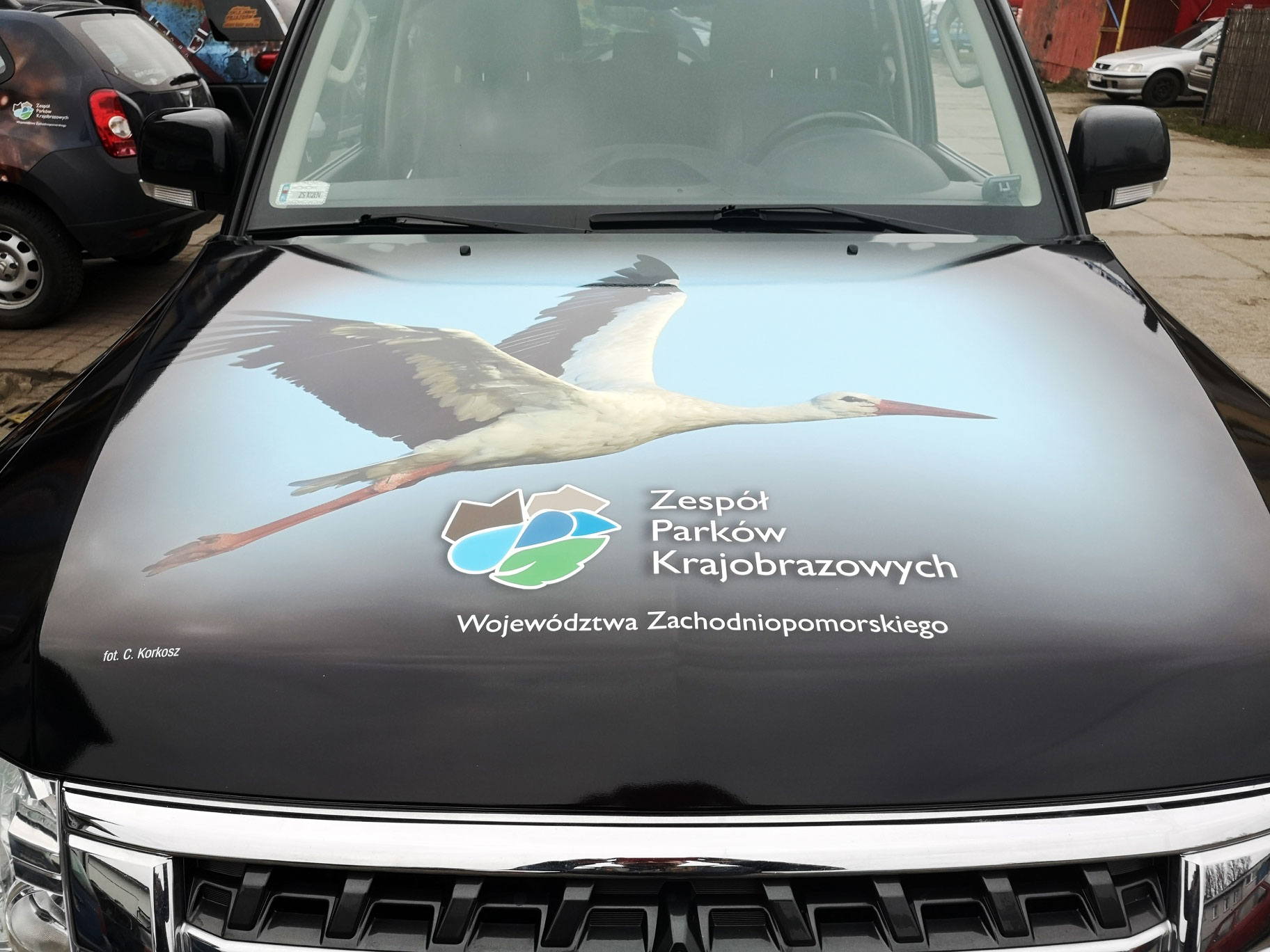 Mitsubishi Pajero CARGRAPHICS Autofolie auta Szczecin